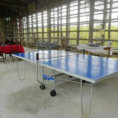 Maison Du Coucou * Larbey